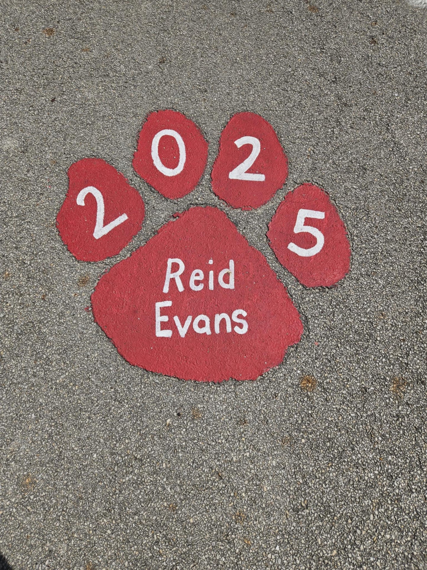 Paw Prints to the stadium