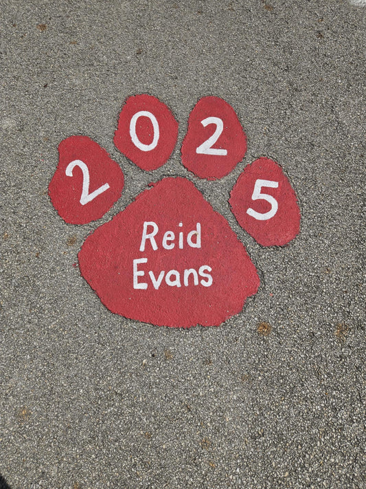 Paw Prints to the stadium